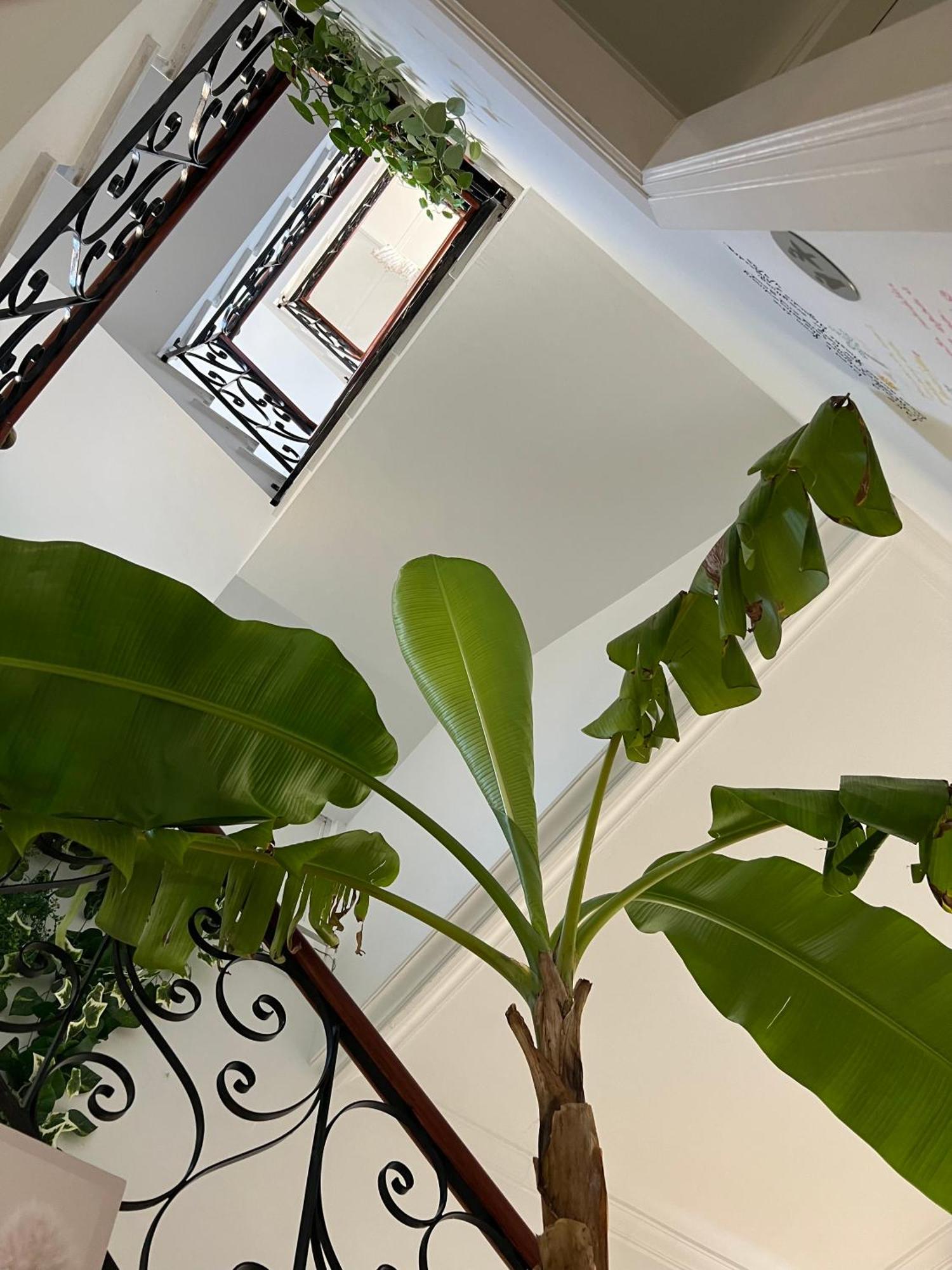 סיוטאדלה Balear Hotel מראה חיצוני תמונה